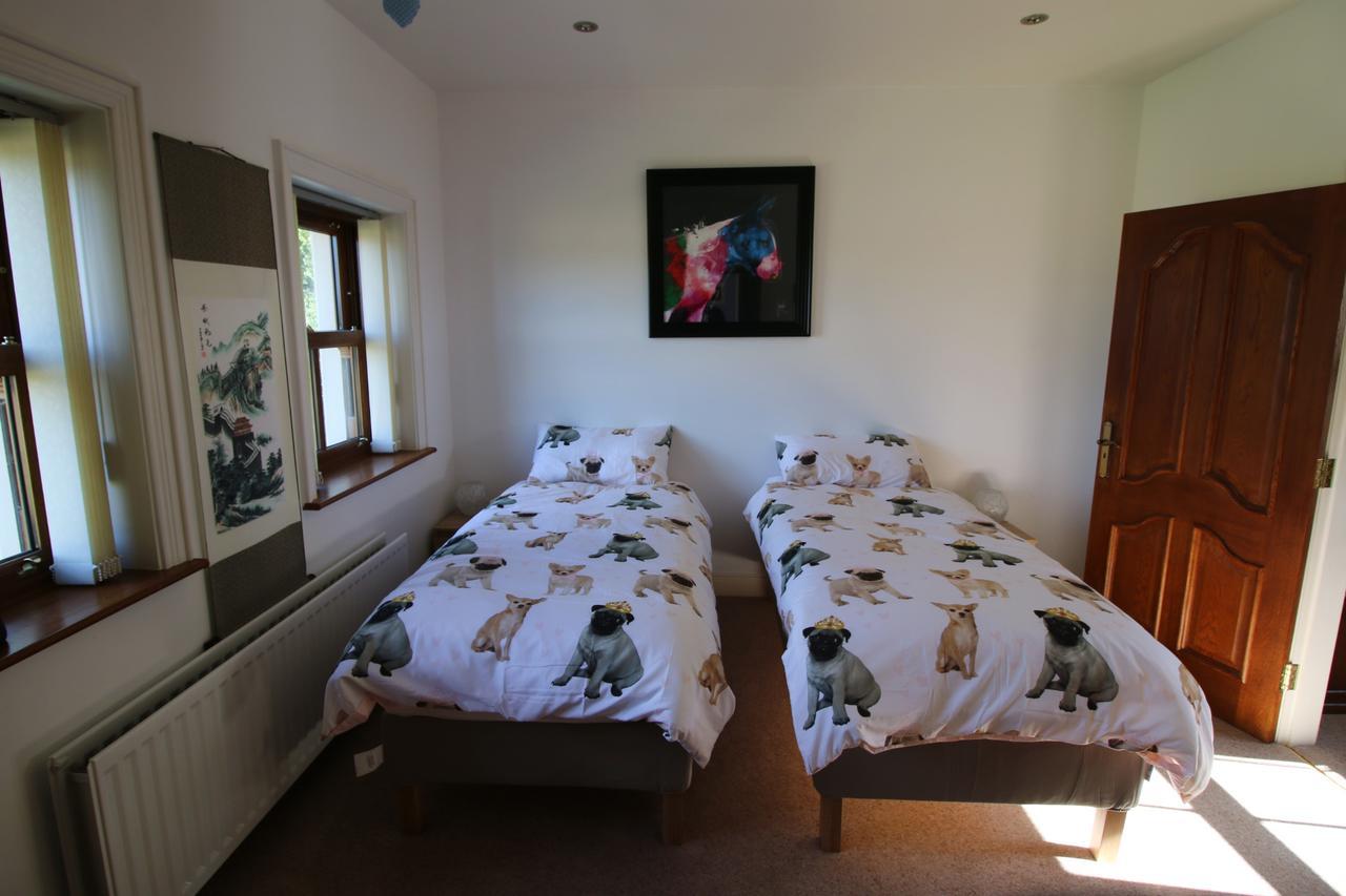 Bed and Breakfast Feetnpaws Portaferry Exterior foto